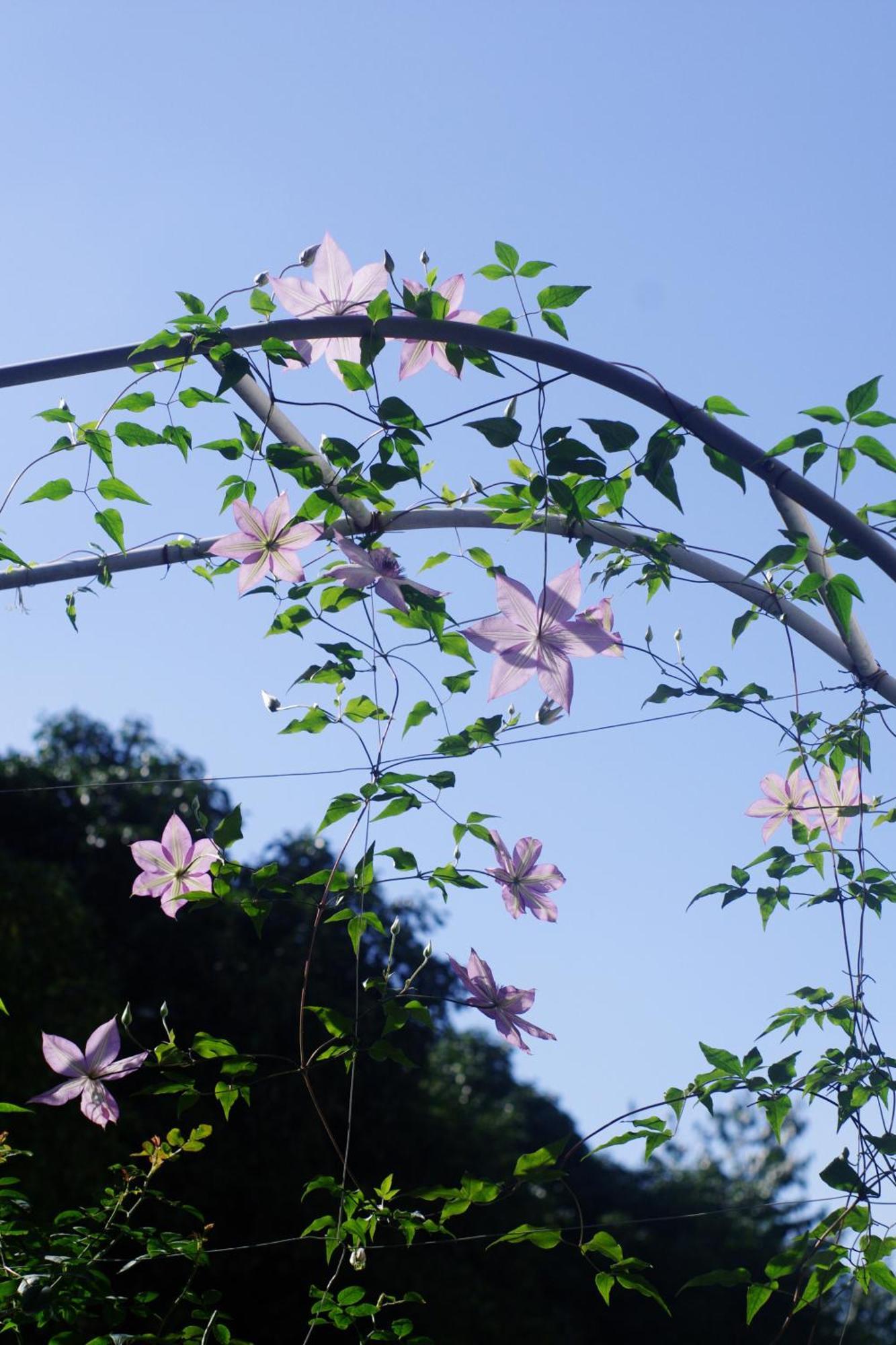 Hangzhou Jiuyueji Bed&Breakfast Zewnętrze zdjęcie