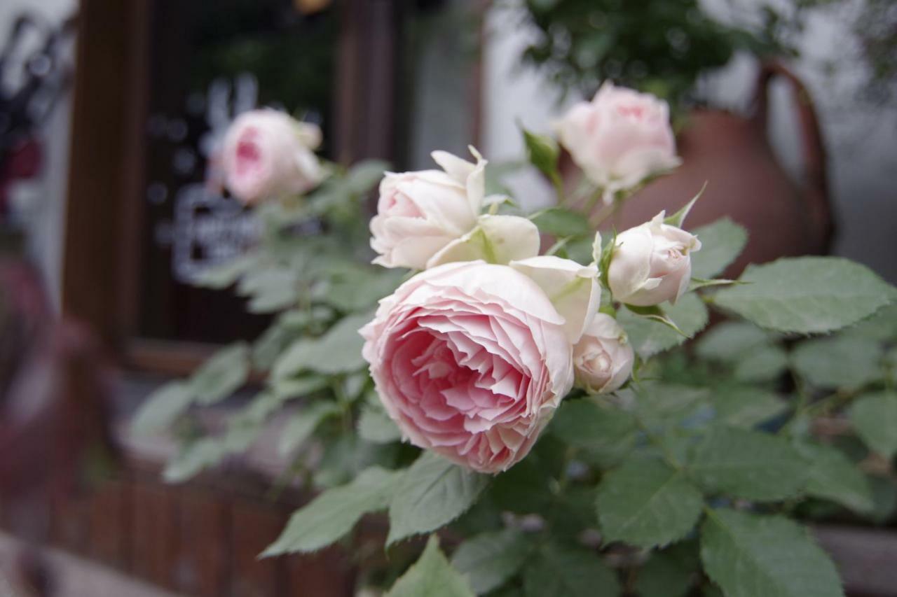 Hangzhou Jiuyueji Bed&Breakfast Zewnętrze zdjęcie