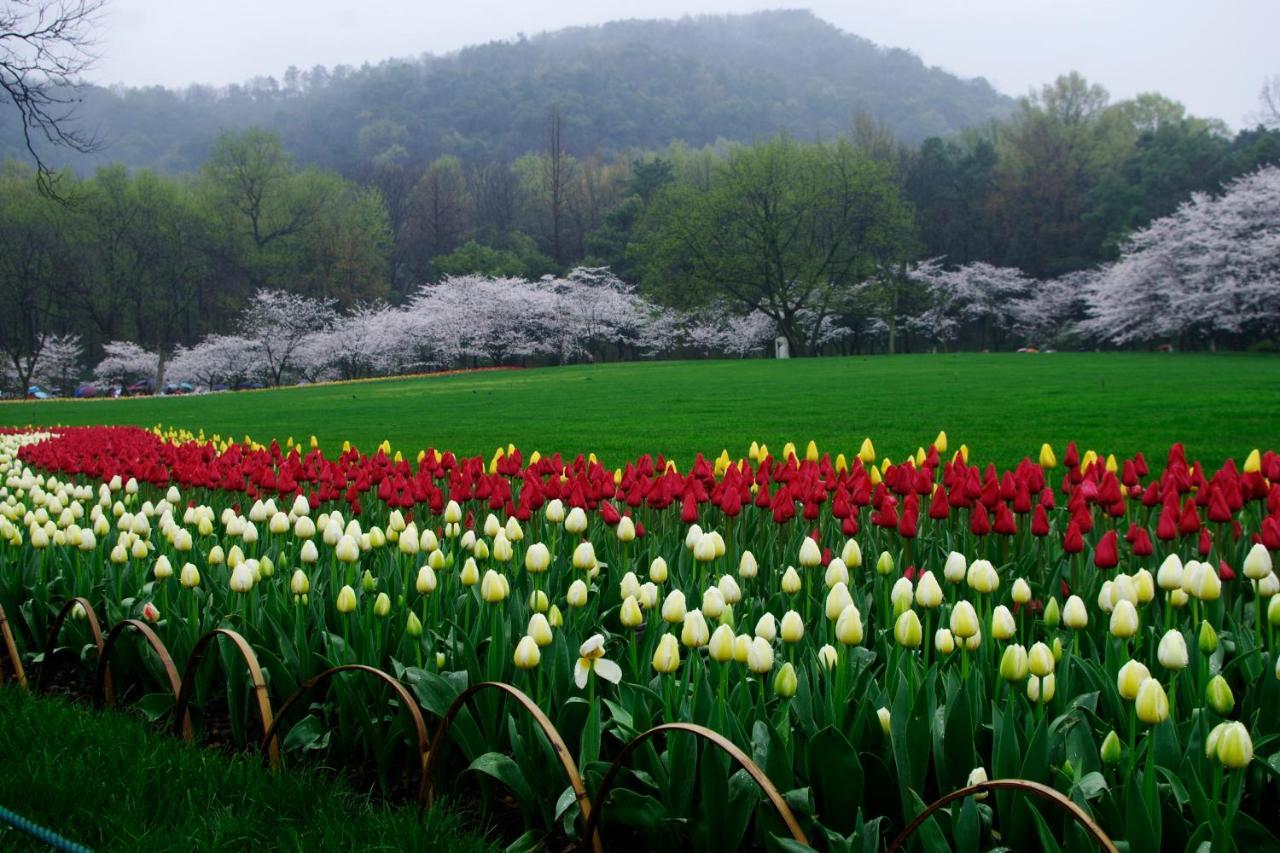 Hangzhou Jiuyueji Bed&Breakfast Zewnętrze zdjęcie